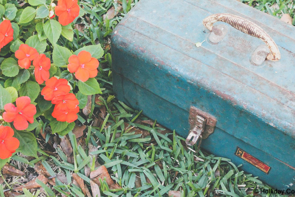 DIY Vintage Tackle Box Planter, vintage tackle box , tackle box, creative planter, vintage tackle box , tackle box, creative planter, DIY