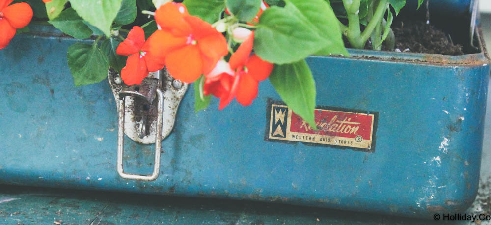 DIY Vintage Tackle Box Planter - Crystal Holliday with The Holliday  Collective
