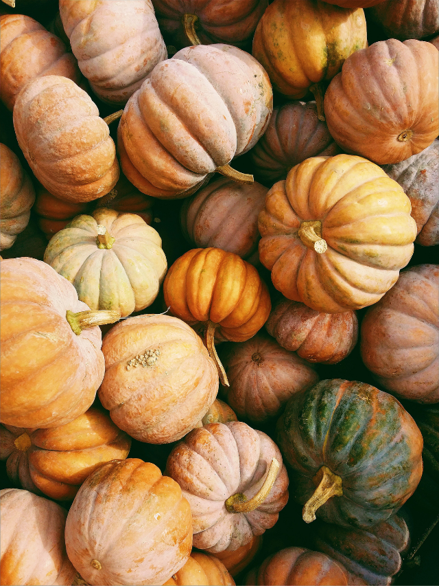 How To Decorate Your Porch for Fall